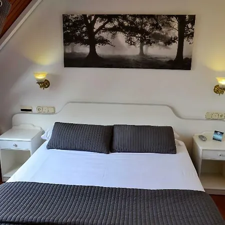 Alda Santa Cristina *